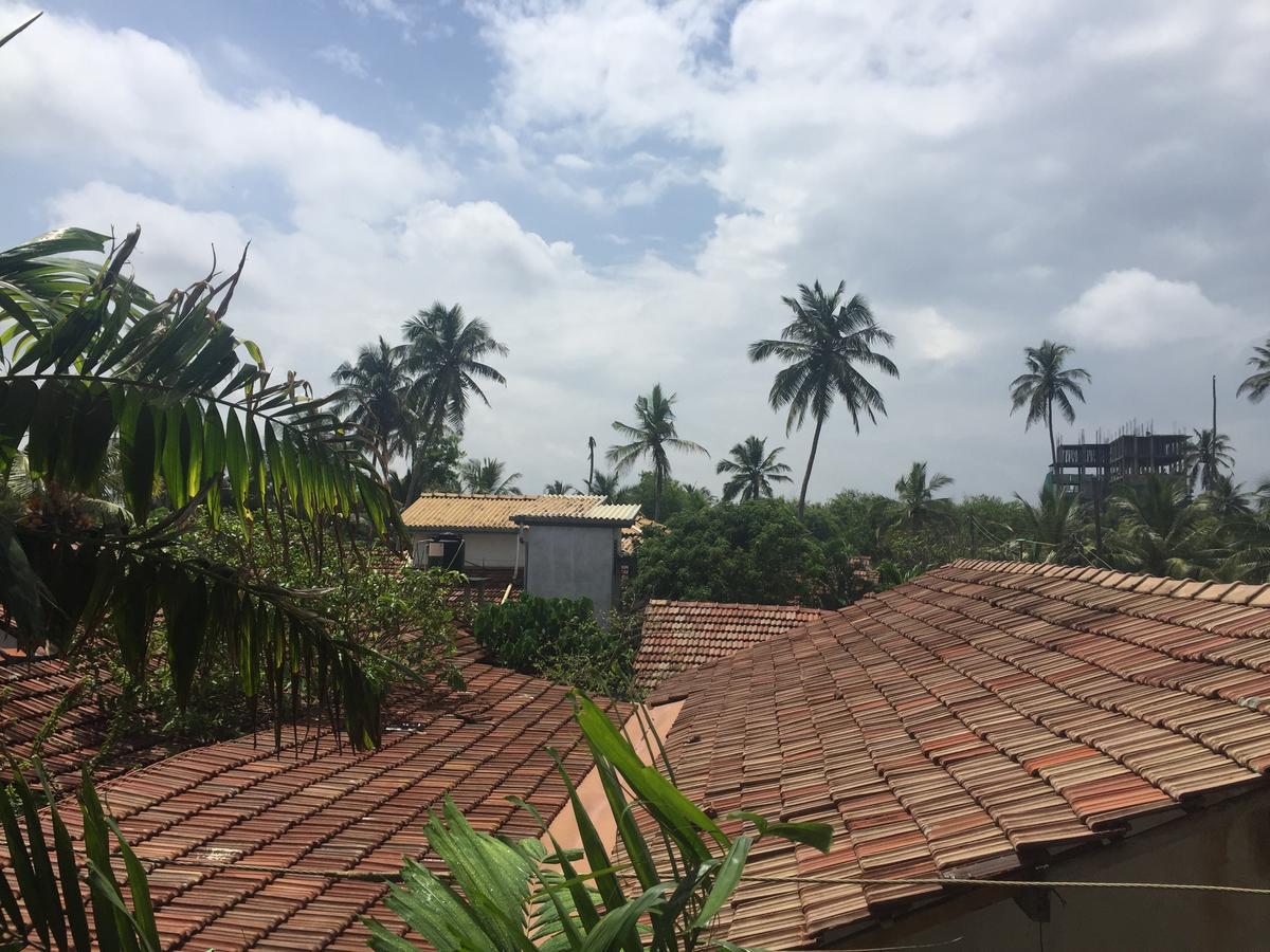 نيجومبو Bee Nest Bed & Breakfast المظهر الخارجي الصورة